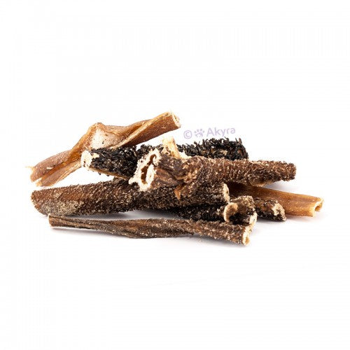 Hondensnack - Akyra - Lamspens