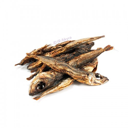 Snack voor honden - Akyra - Haring