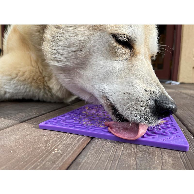 Hersenwerk voor honden - SodaPup - Lickmat paars