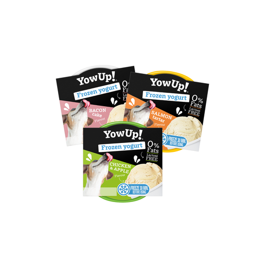 YowUp - Hondenijsjes