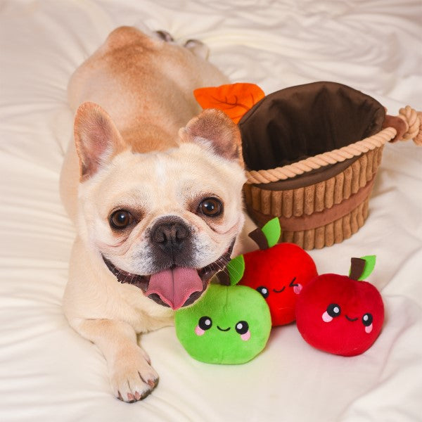 Hersenwerkje voor honden - HugSmart - appel mand