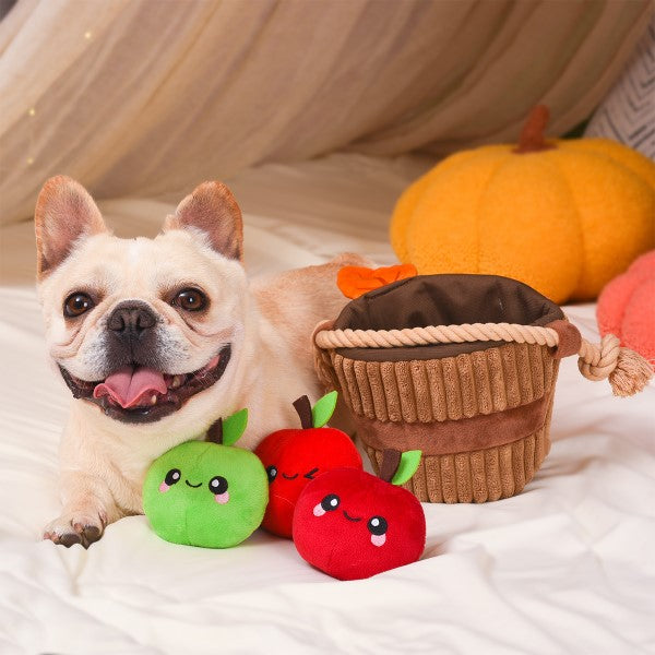 Hersenwerkje voor honden - HugSmart - appel mand