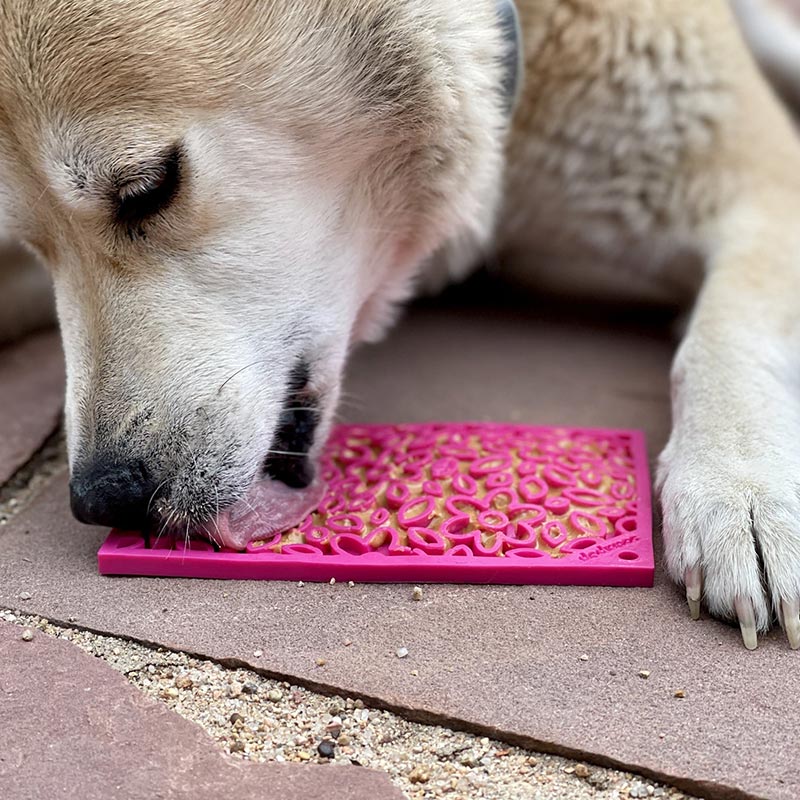 Hersenwerk voor honden - SodaPup - Lickmat flower