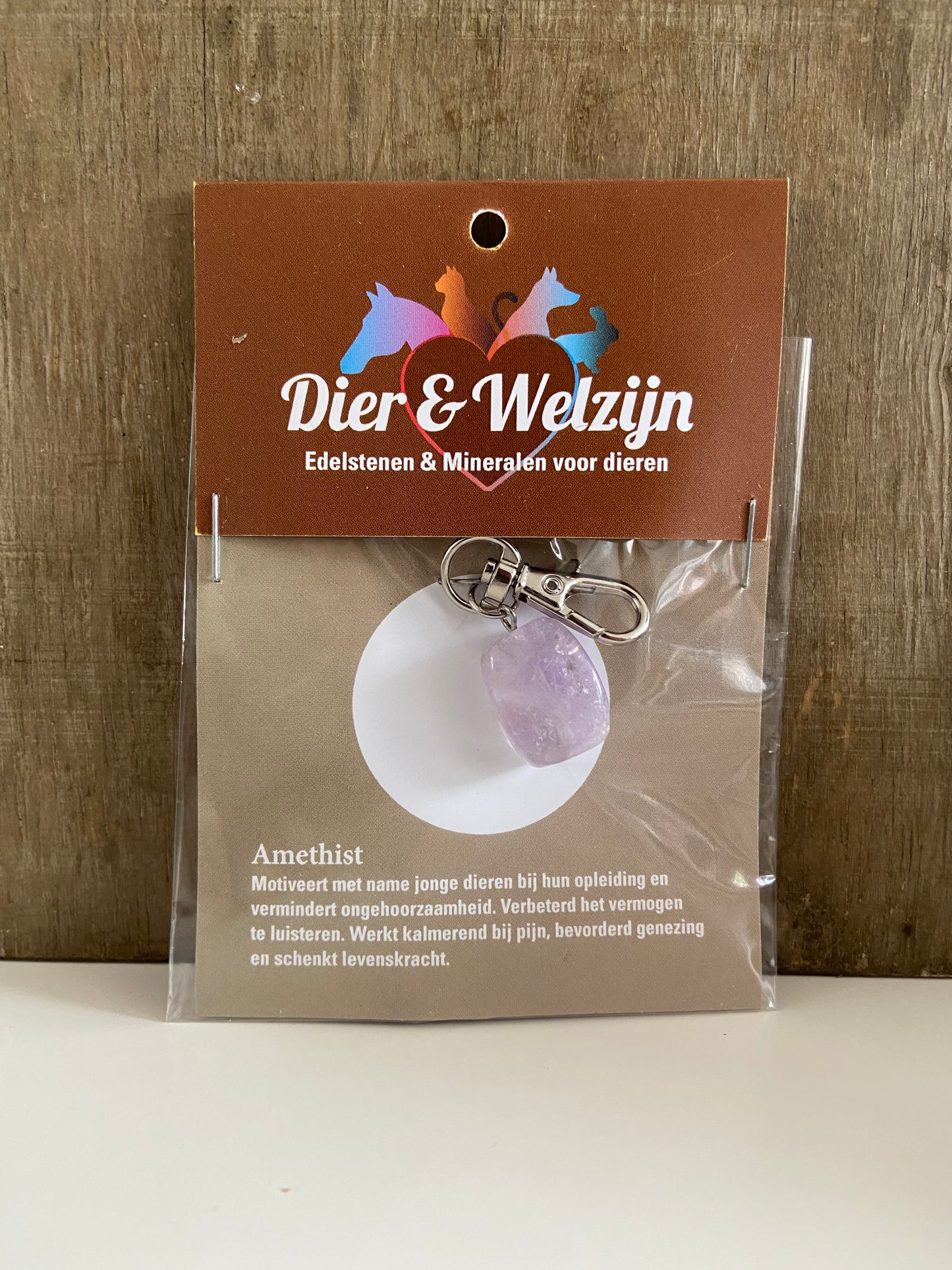 Halsbandhanger van de edelsteen Amethist