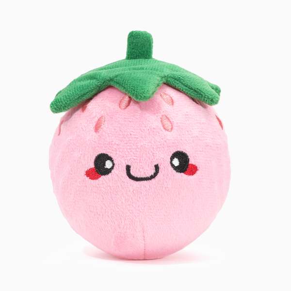 Hondenspeelgoed - Picnic Time – Strawberry Ball
