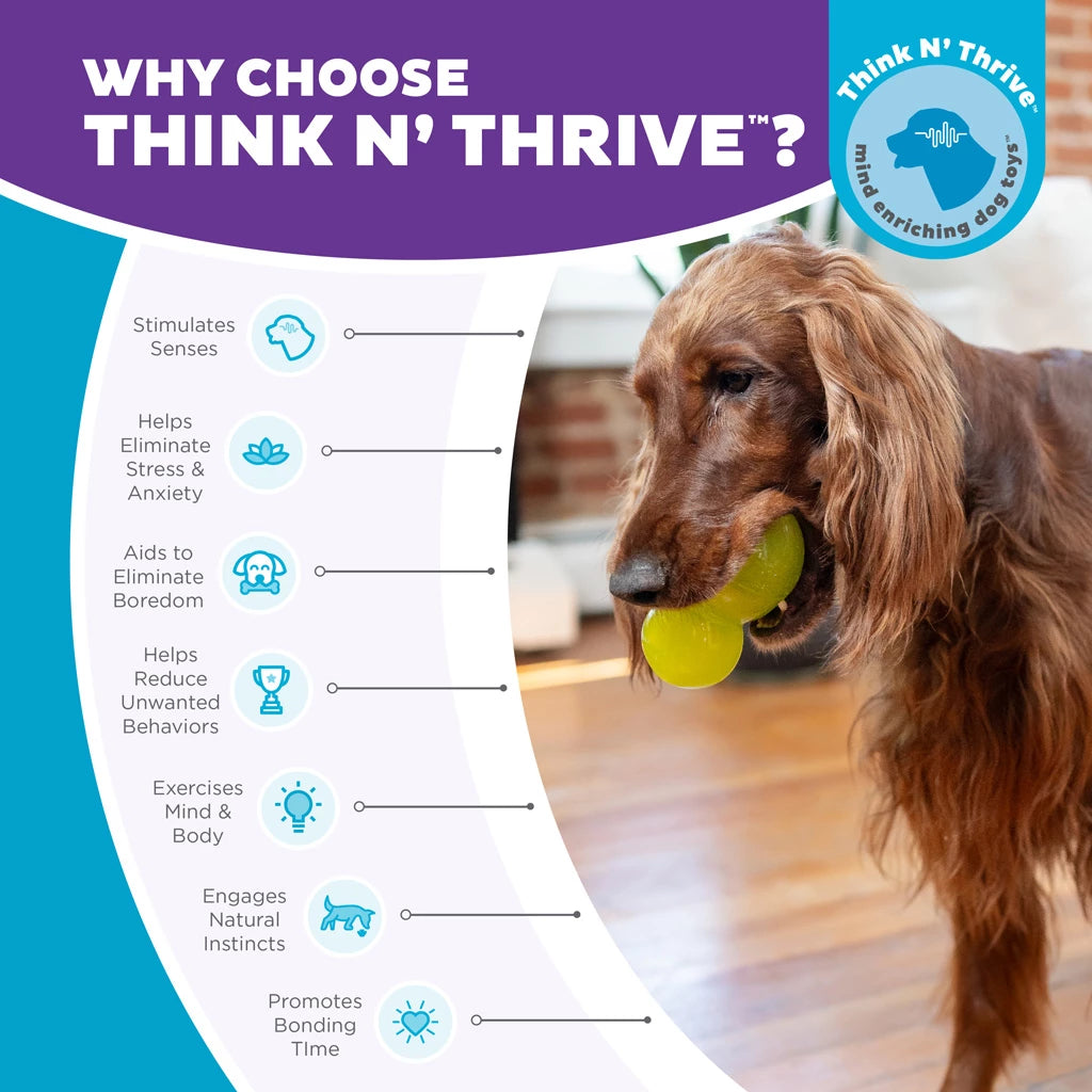Intelligentie speelgoed voor honden - Outward Hound - Double-Tuff L Groen