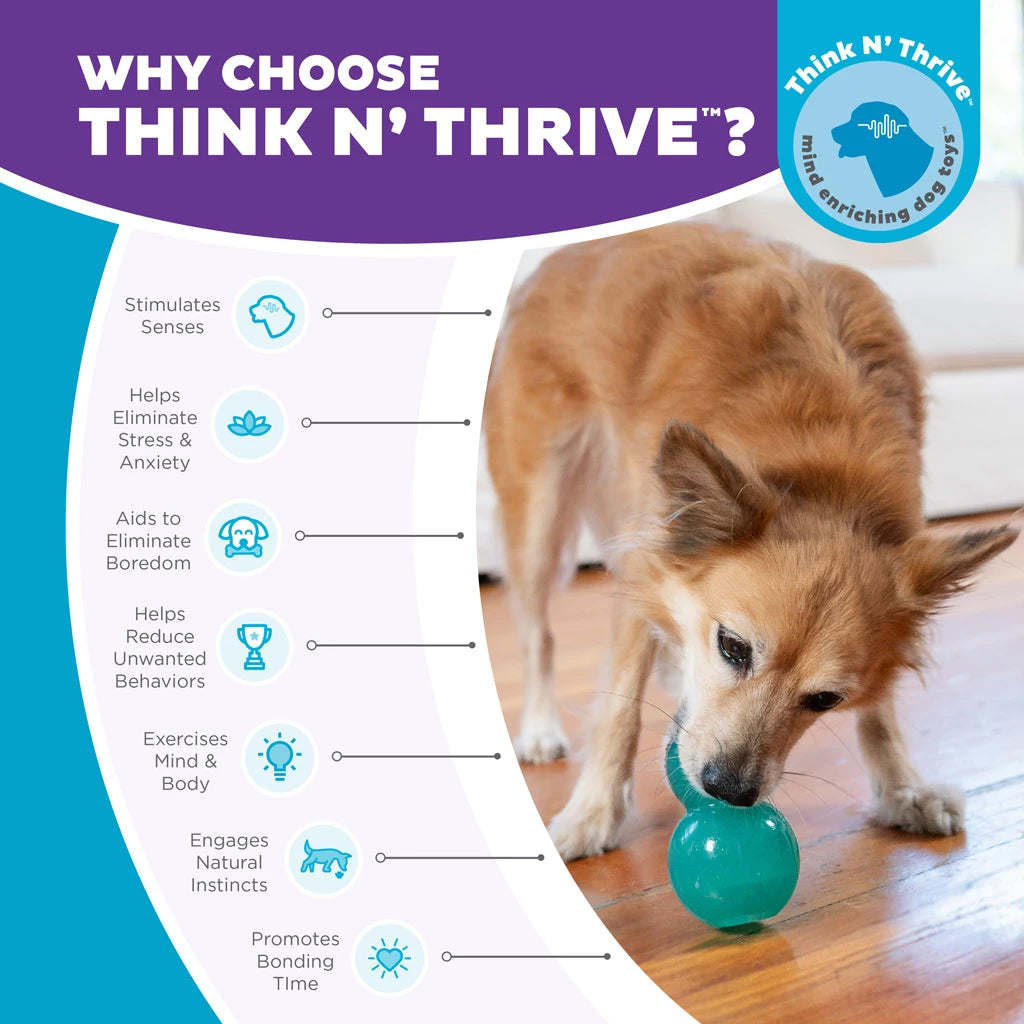 Intelligentie speelgoed voor honden - Outward Hound - Double-Tuff M Blauw