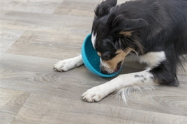 Hersenwerk voor honden - Trixie - Ronde likmat