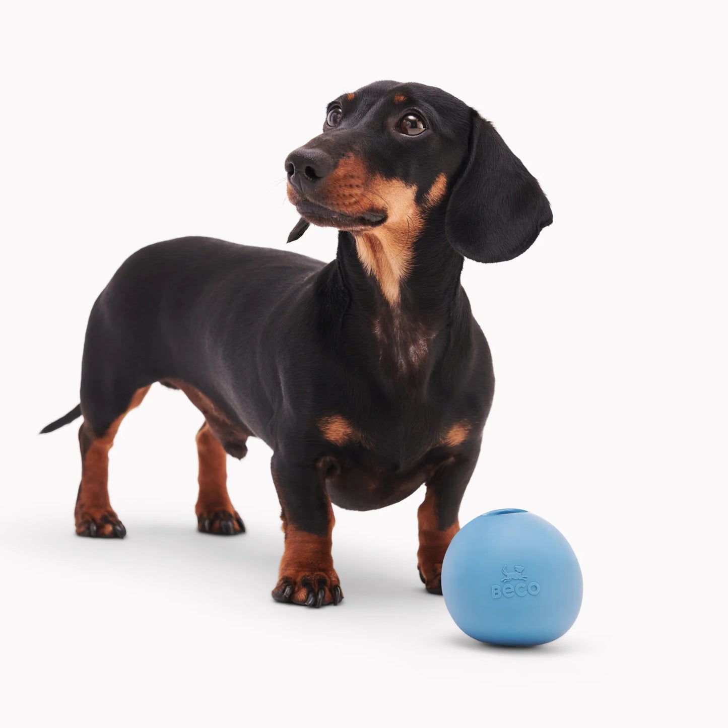 Intelligentie speelgoed voor honden - Beco - Wobble Ball