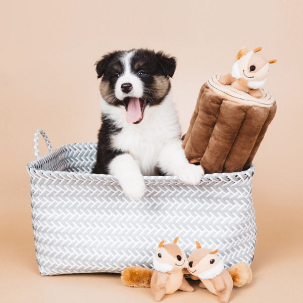 Hondenspeelgoed - Zippy Paws - Zippy Burrow – Log with 3 Chipmunks