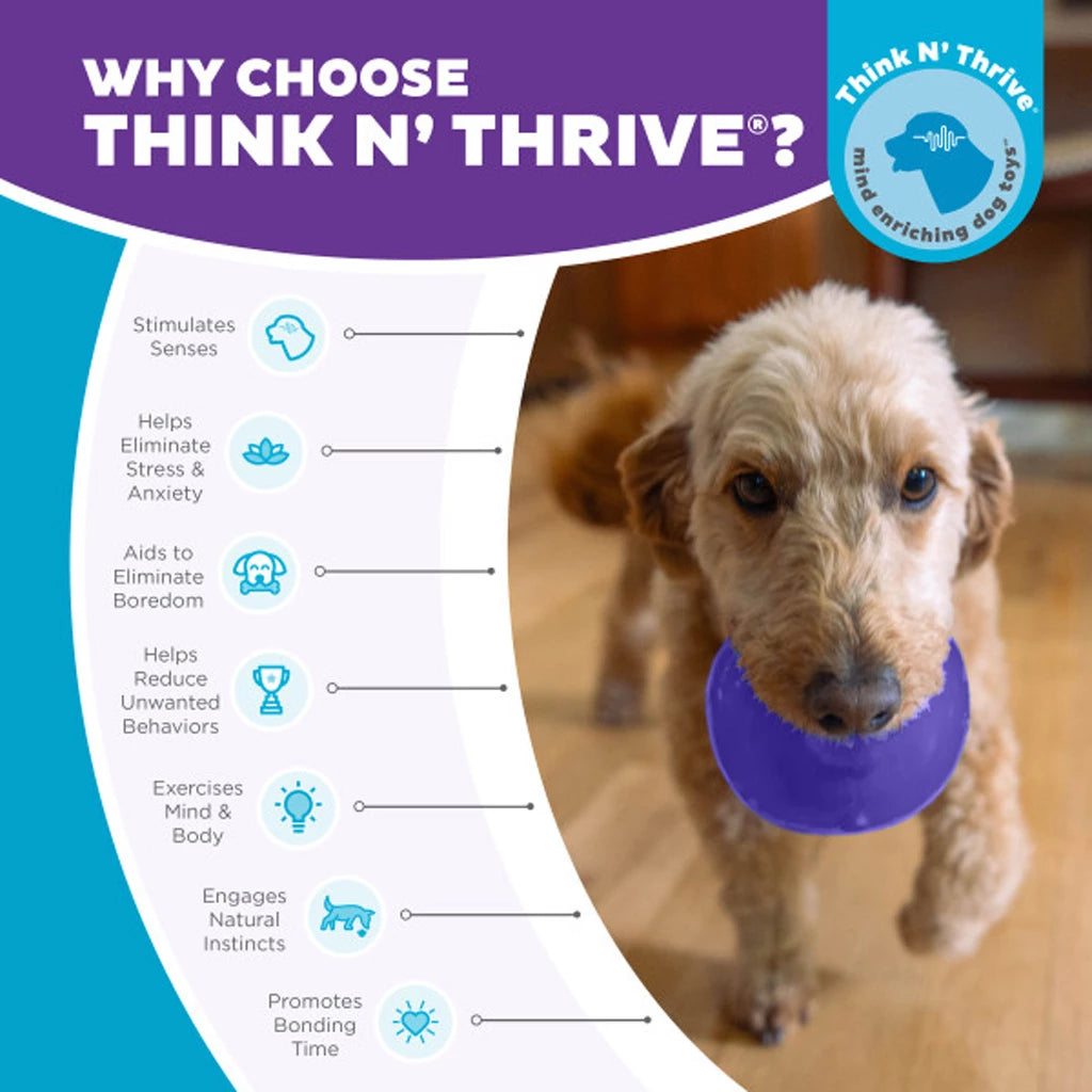 Hersenwerk voor honden - Outward - Hound Orbee-Tuff Snoop