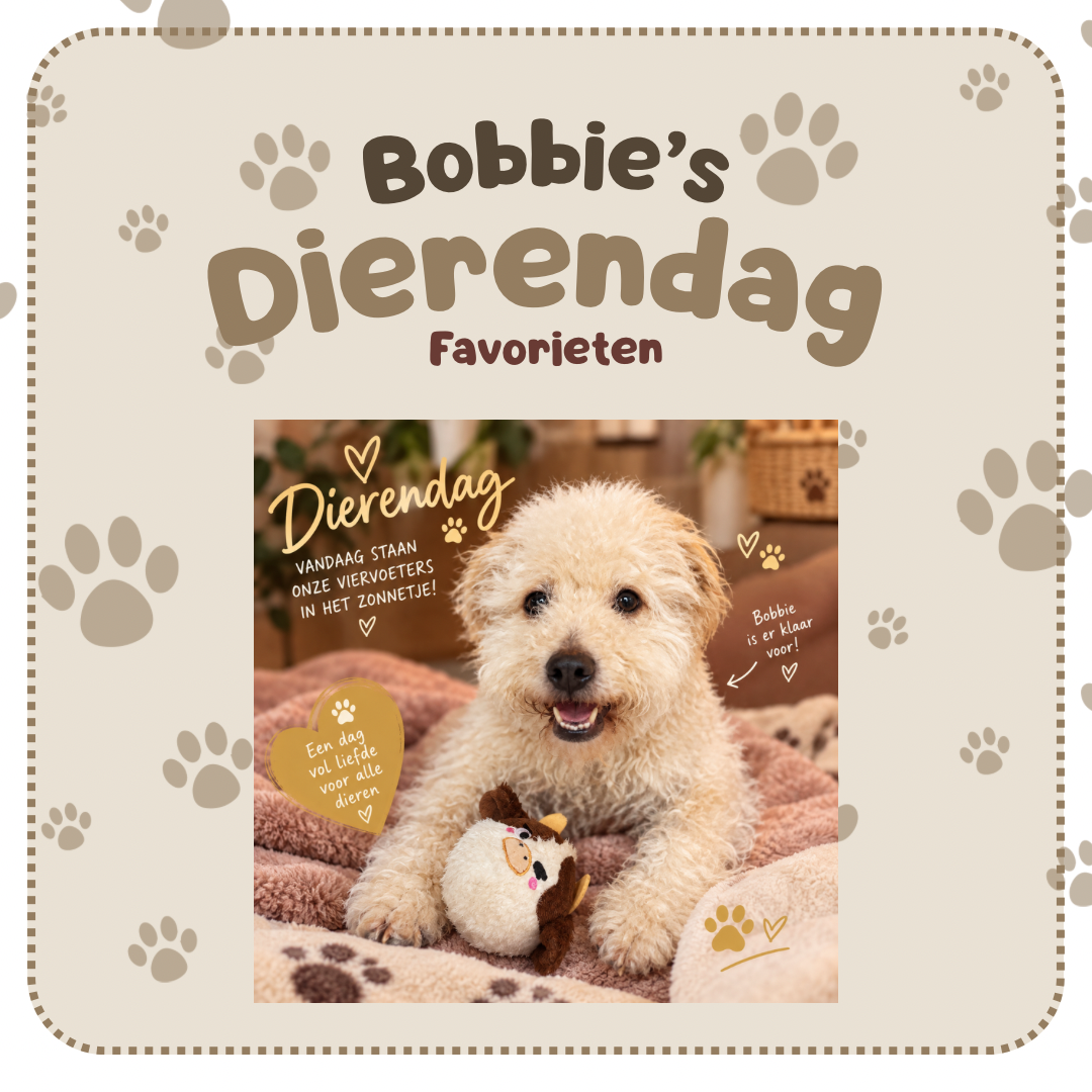 Bobbie’s dierendag favorieten - gouden dierendag box