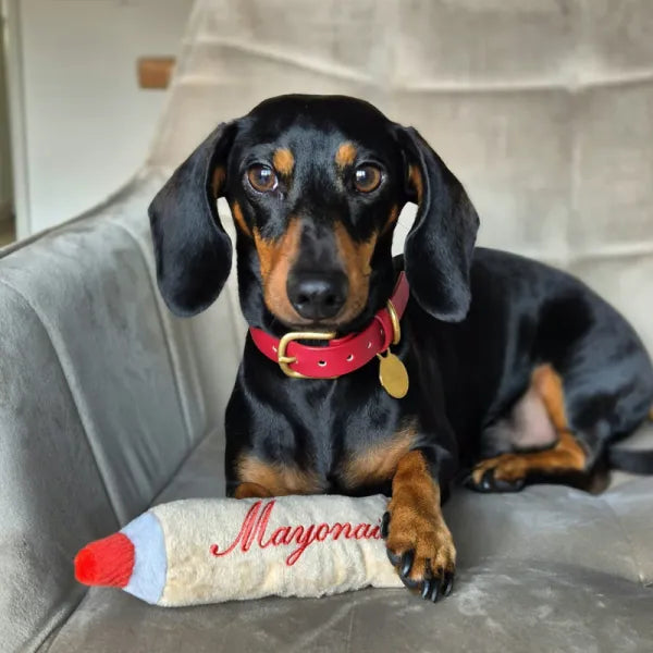 Hondenspeelgoed - Pawstory - Mayonaise