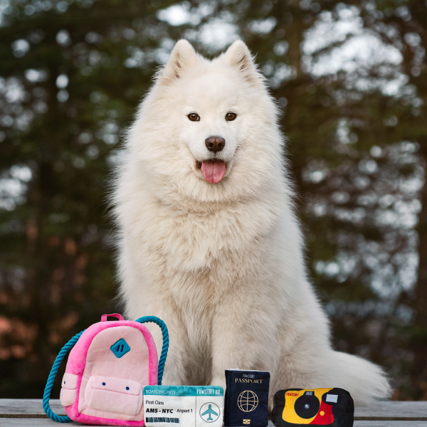 Hondenspeelgoed - Pawstory - Snuffles Billy Backpack 3-in-1