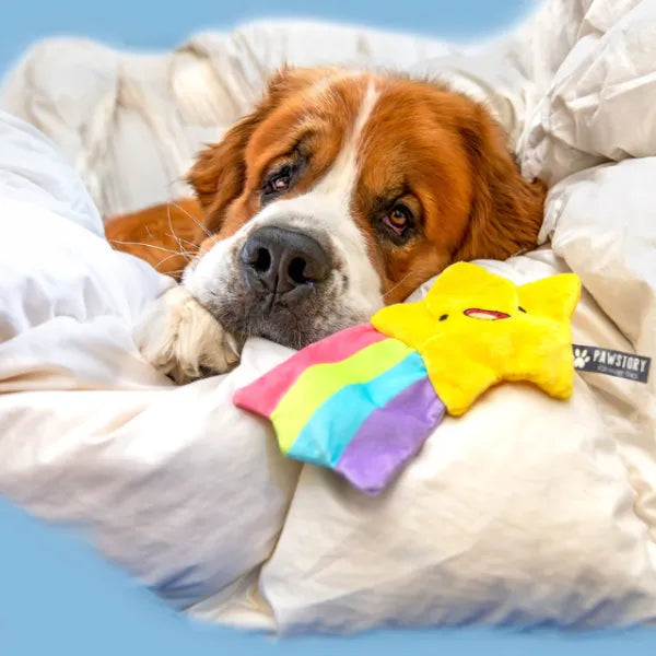 Hondenspeelgoed - Pawstory - Twinkle Star