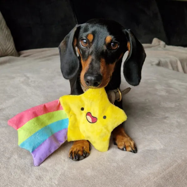 Hondenspeelgoed - Pawstory - Twinkle Star
