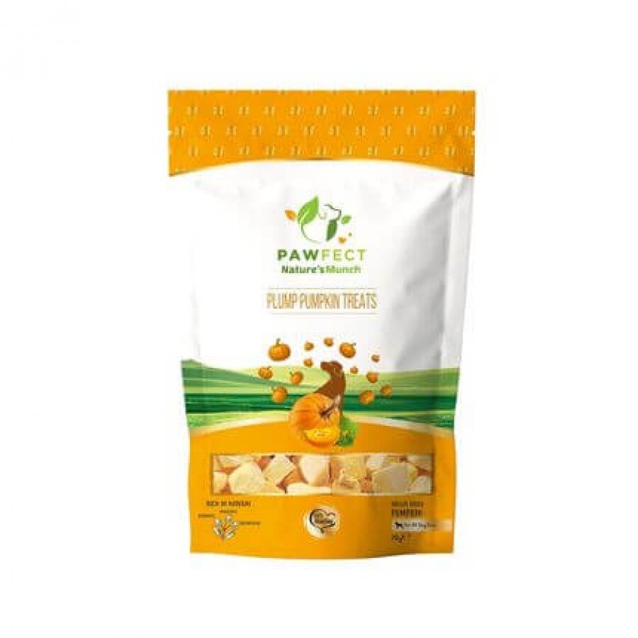 Pawfect Treats - Pompoen