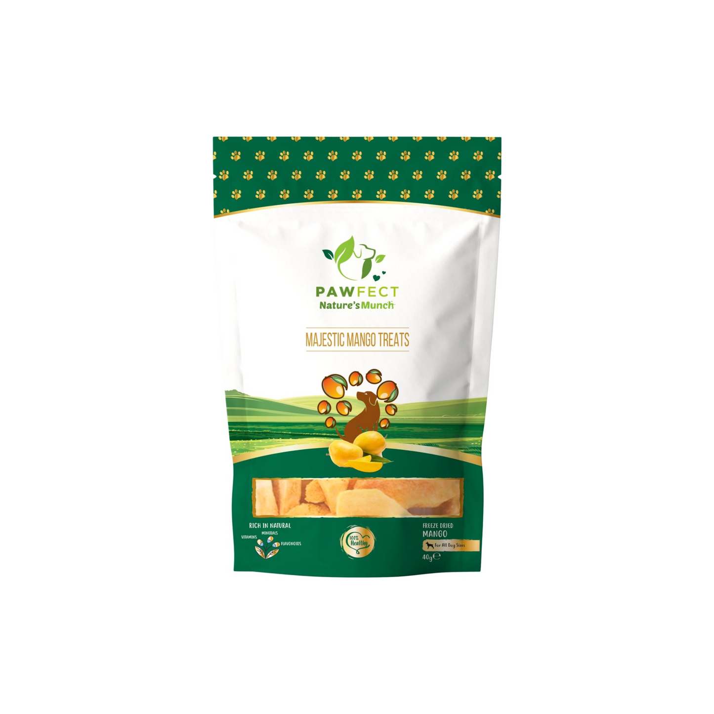 Pawfect Treats - Mango