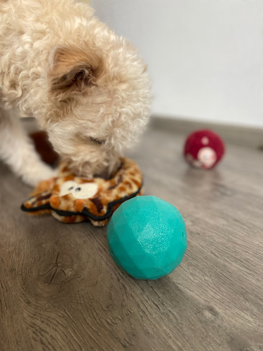 Speelgoed voor honden. Waarom is dit zo belangrijk?