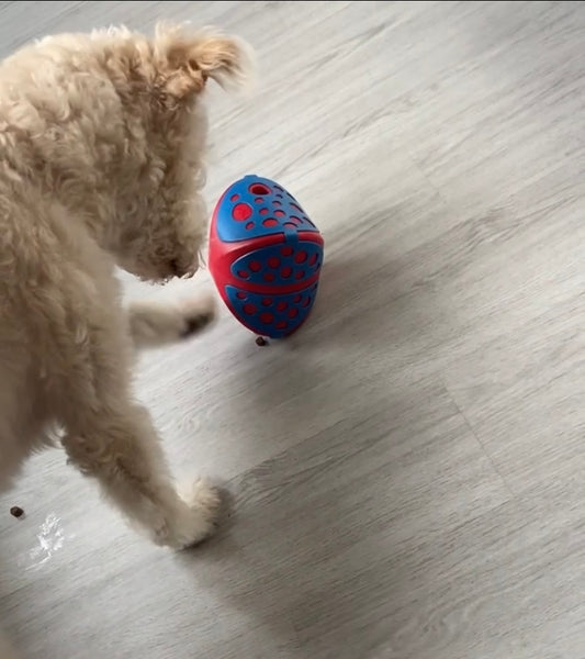 Hersenwerkjes en verrijking voor Honden: waarom en hoe?