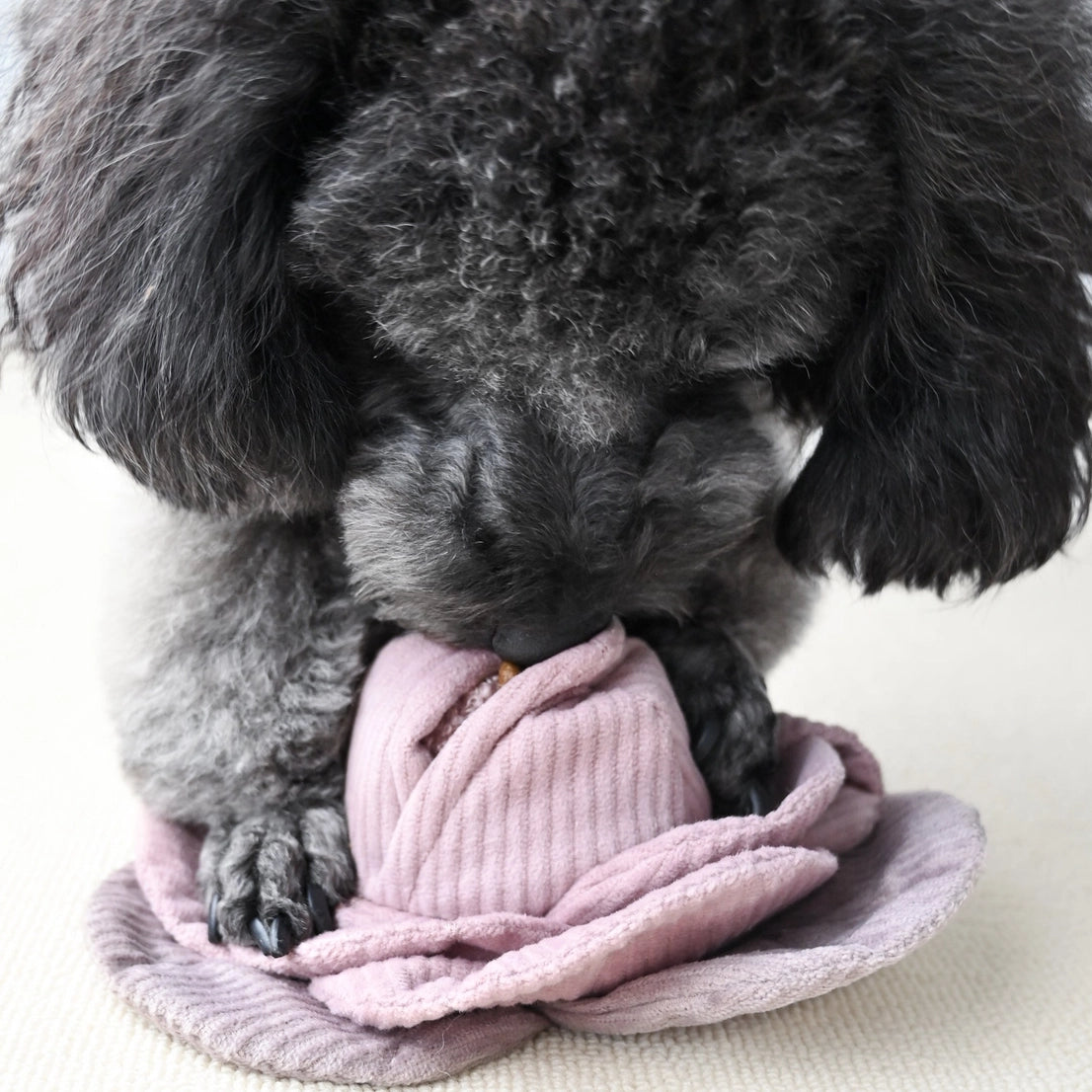 Hondenspeelgoed - Lambwolf - Cabbage - Groen en Mauve