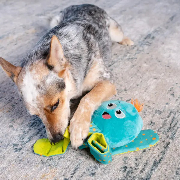 Snuffelspeelgoed hond - Nina Ottosson - Octopus