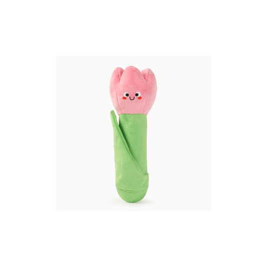 Hondenspeelgoed -  Hugsmart - Tulp