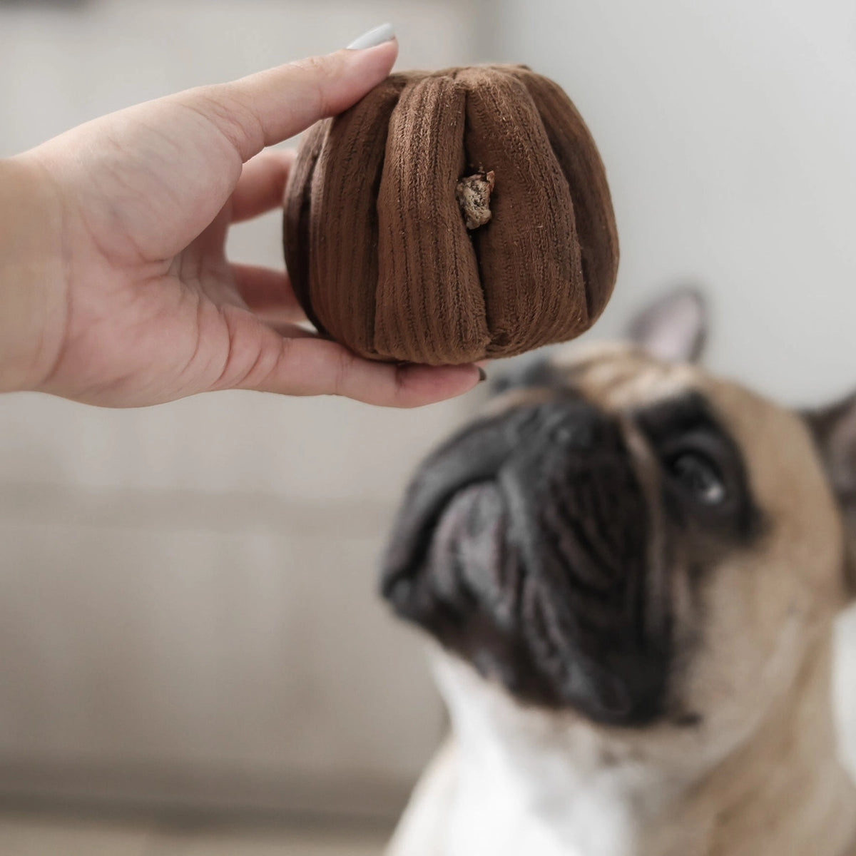 Hondenspeelgoed - Lambwolf - Canele