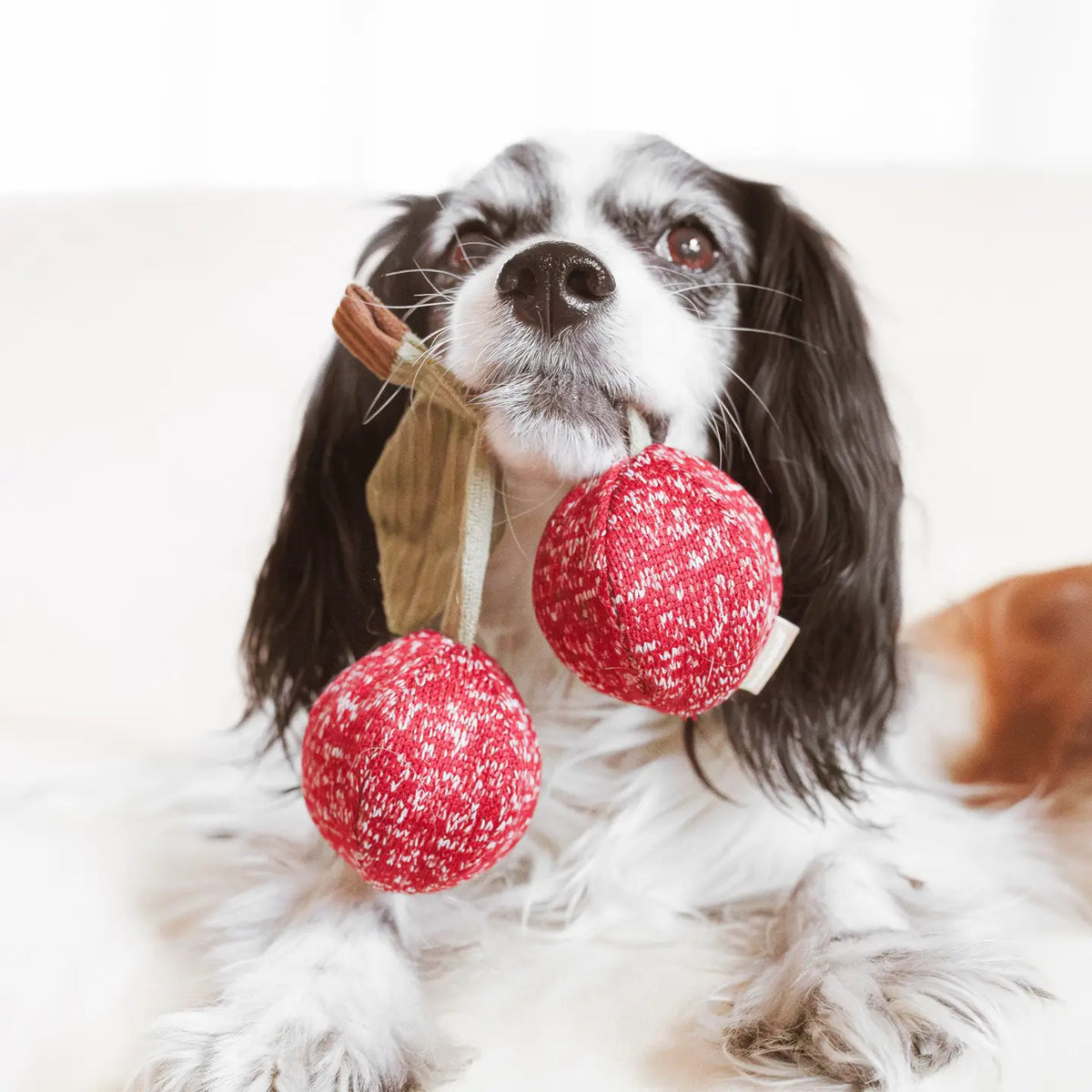 Hondenspeelgoed - Lambwolf - Cherry pop