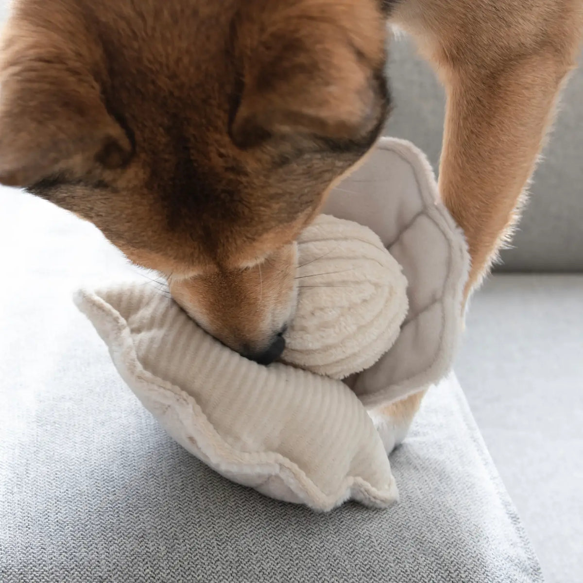 Hondenspeelgoed - Lambwolf - Oyster