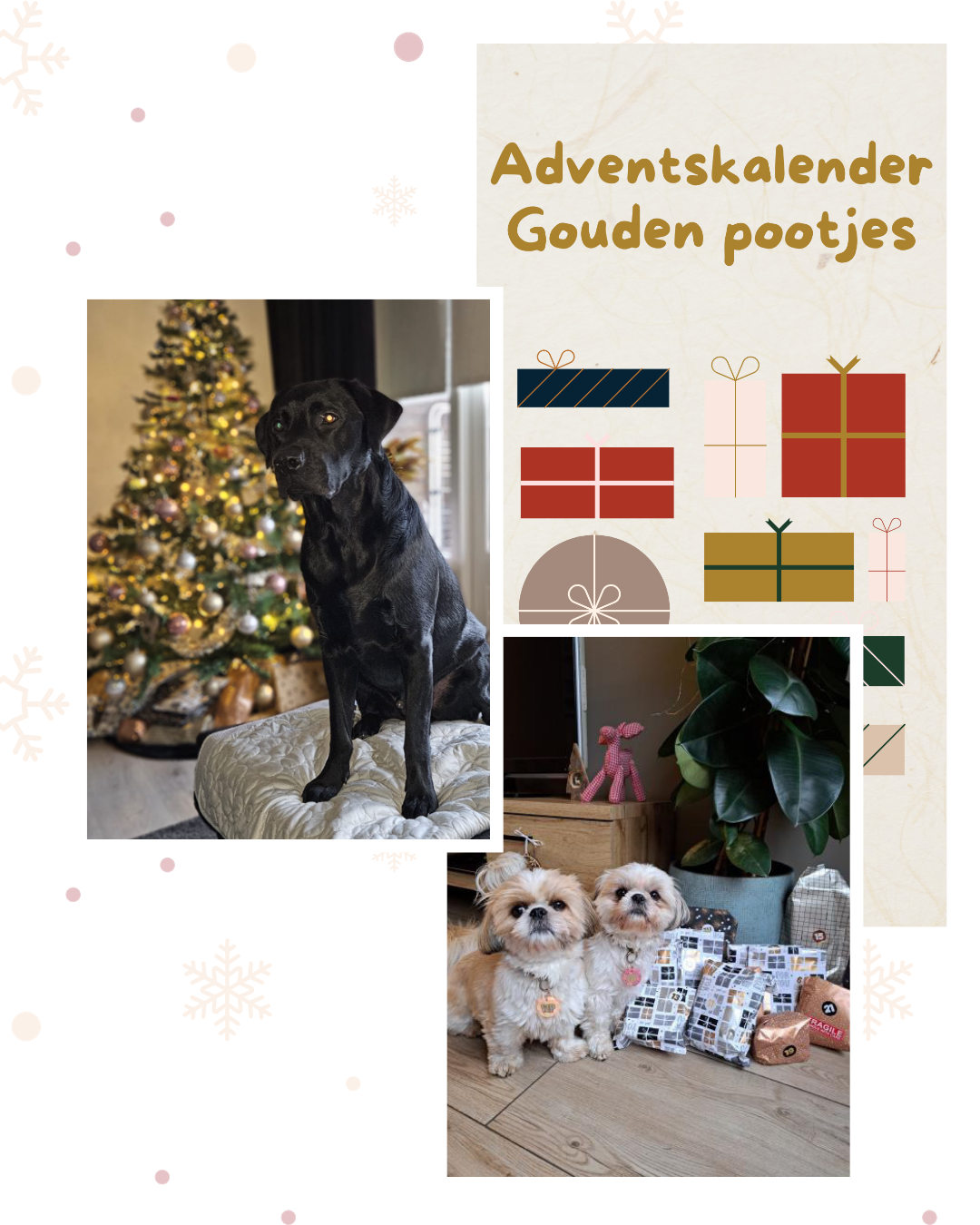PRE-ORDER - Adventskalender hond