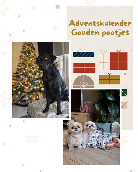PRE-ORDER - Adventskalender hond