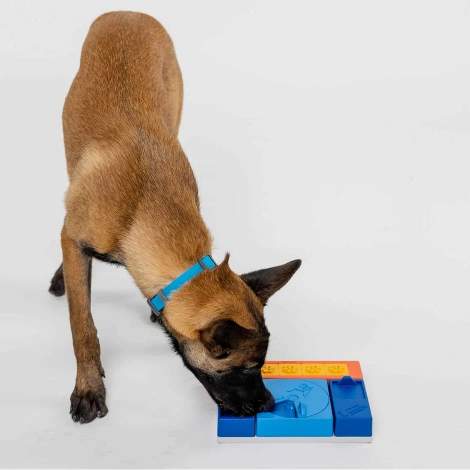 Honden puzzels - Pawzler - Beginner Set