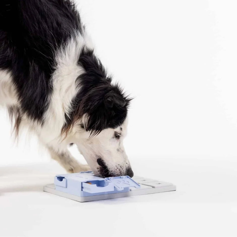 Honden puzzels - Pawzler - Bunny