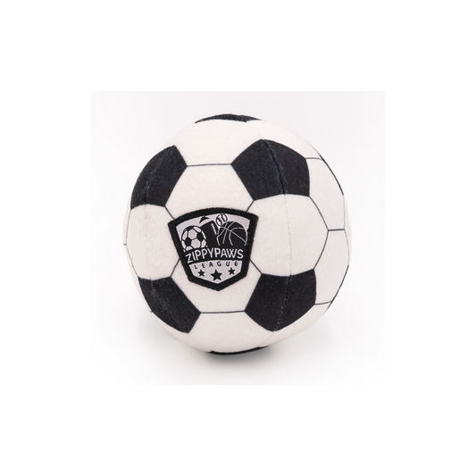 Sportballz – Soccer