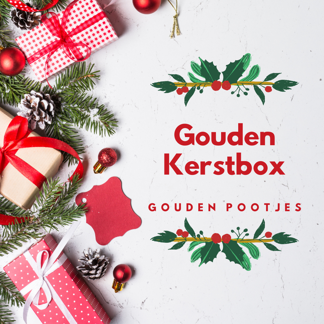 PRE-ORDER - Gouden kerstbox