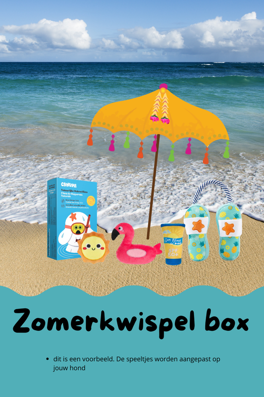 Zomerkwispel box voor jouw hond
