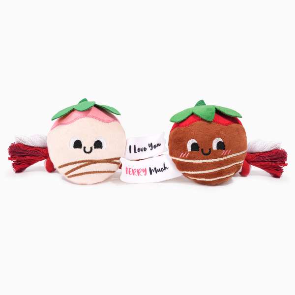 Hondenspeelgoed - Woof Love – Strawberry Rope