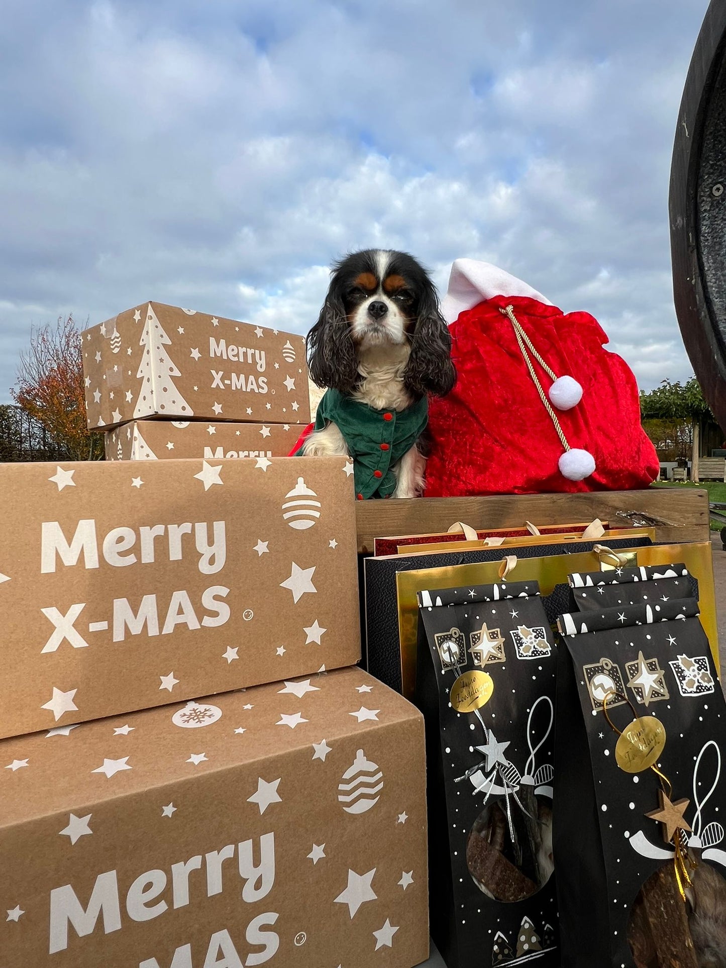 PRE-ORDER - Poelekes Gouden verwenpakket