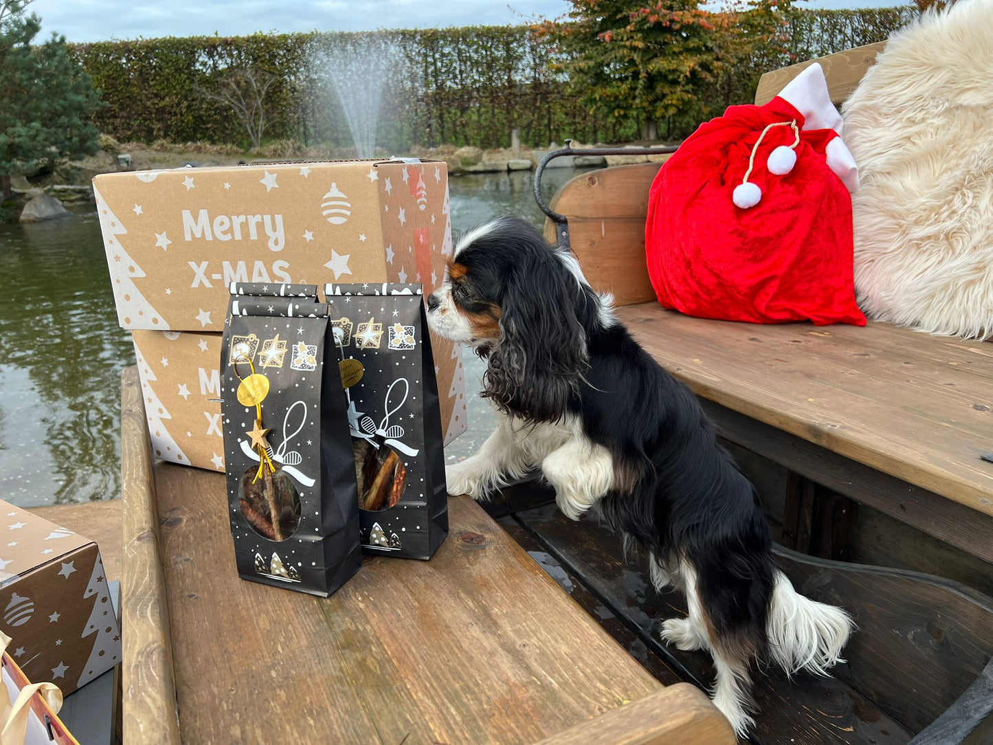 PRE-ORDER - Poelekes Gouden verwenpakket