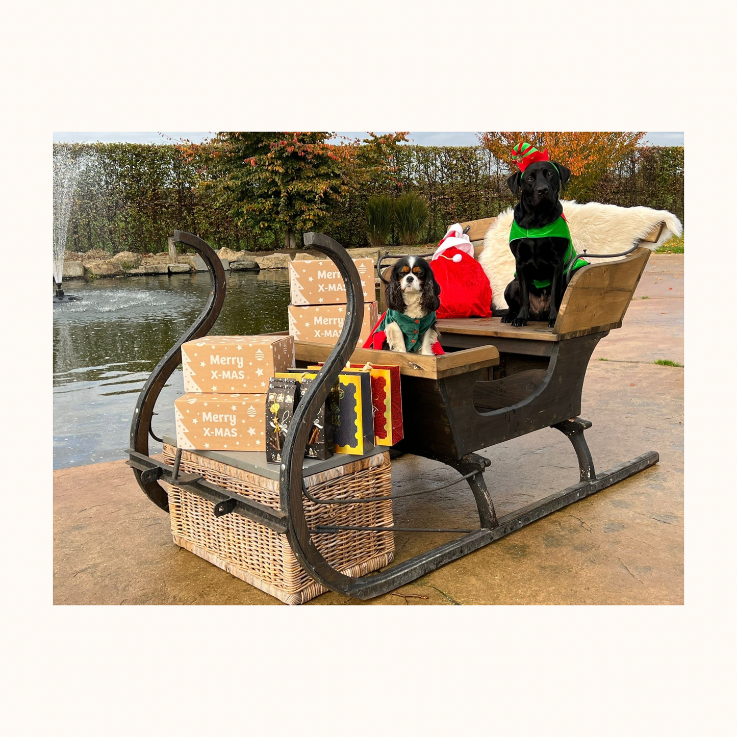 PRE-ORDER - Poelekes Gouden verwenpakket