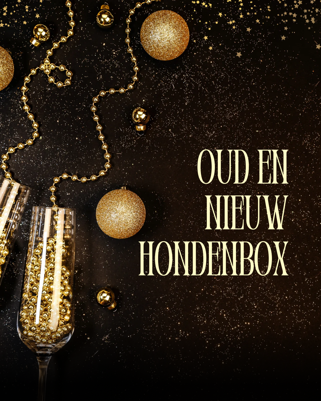 Oud en Nieuw hondenbox