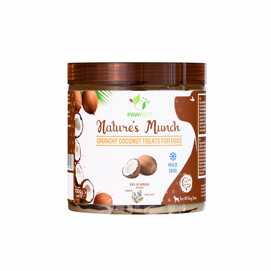 Pawfect Treats - Kokos