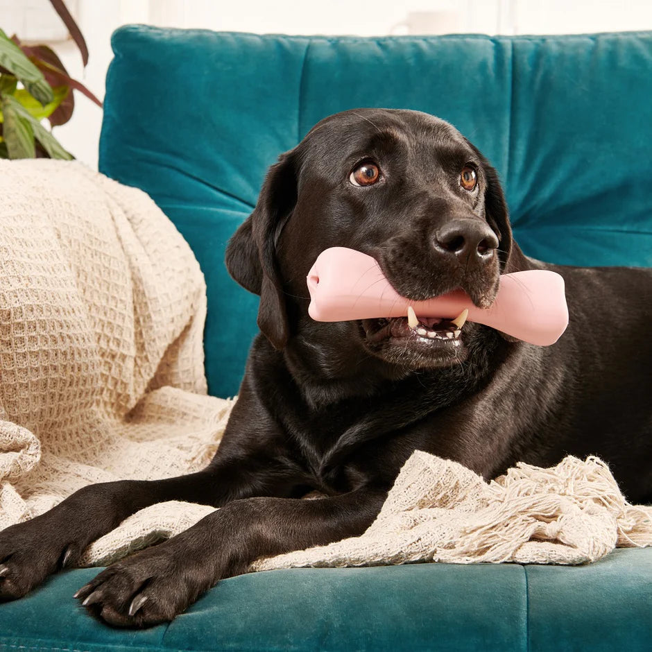 Hersenwerk voor honden - Beco - Treat bone