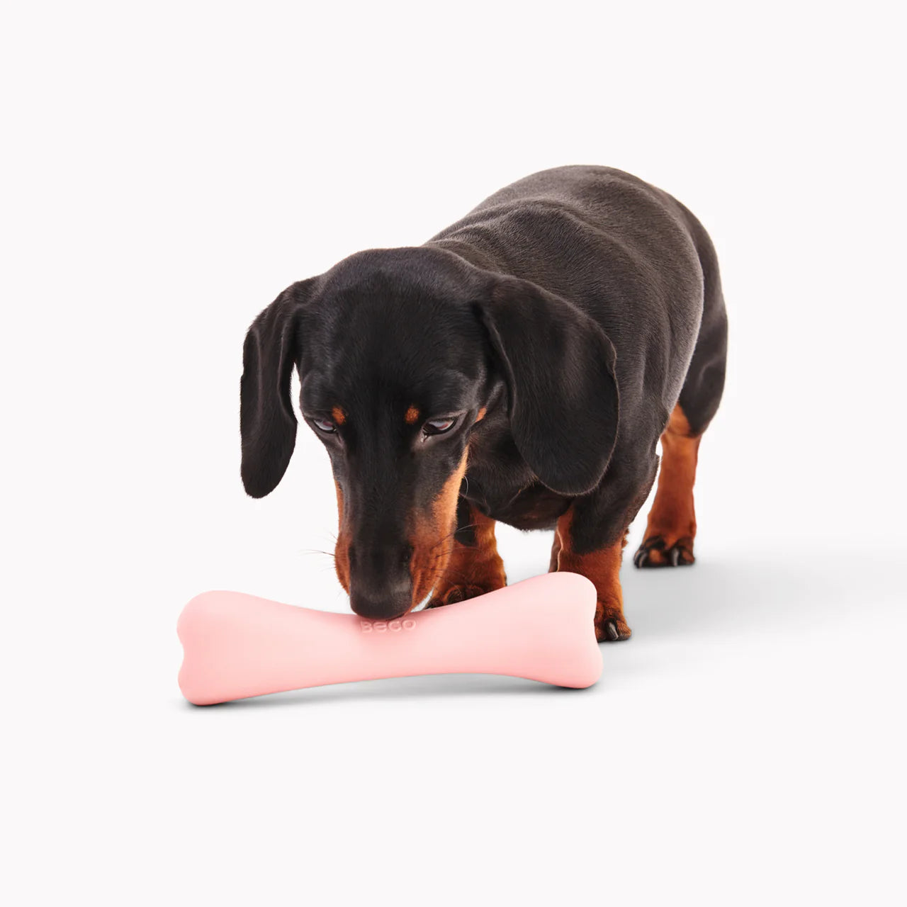 Hersenwerk voor honden - Beco - Treat bone