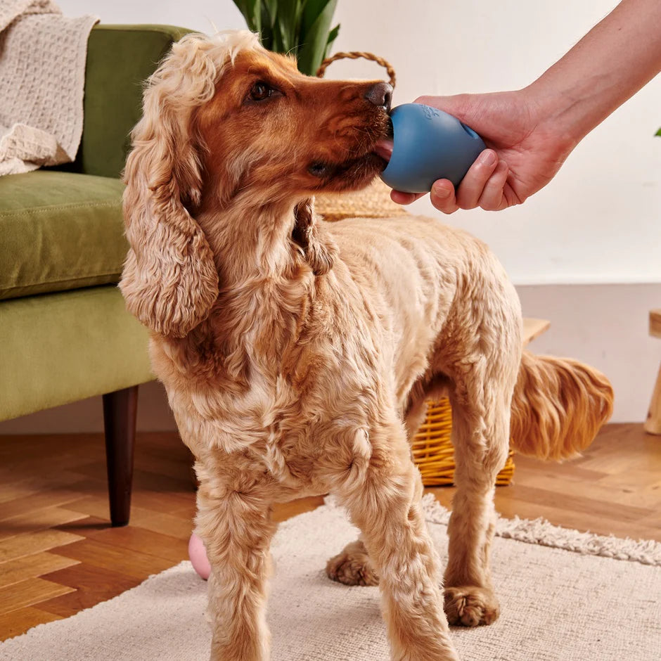 Intelligentie speelgoed voor honden - Beco - Boredom Buster