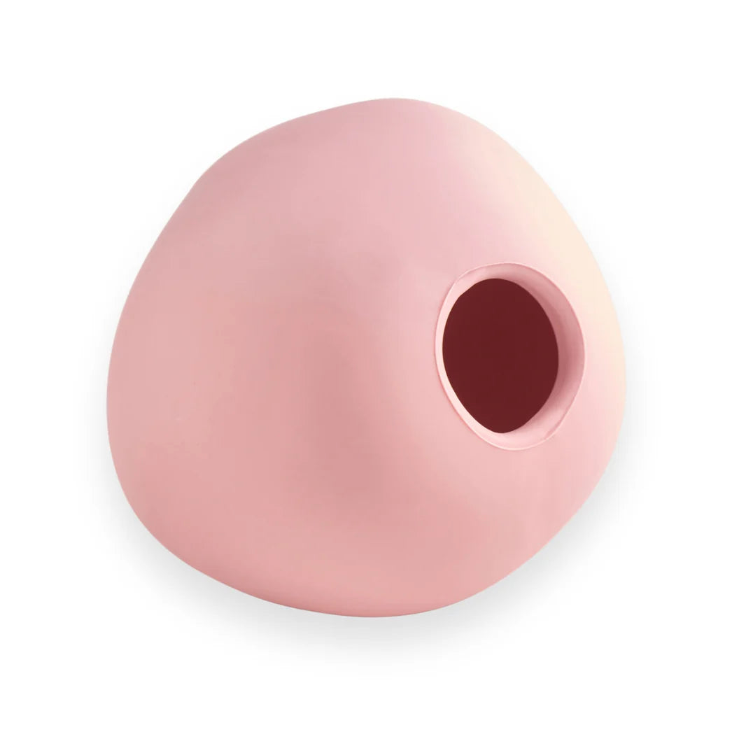 Intelligentie speelgoed voor honden - Beco - Wobble Ball