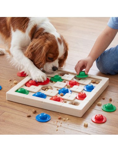 Intelligentiespeelgoed voor honden - petdreamhouse - SnapTrack - Starter Pack
