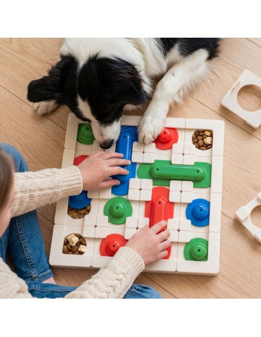 Intelligentiespeelgoed voor honden - Petdreamhouse - SnapTrack - Plus Pack