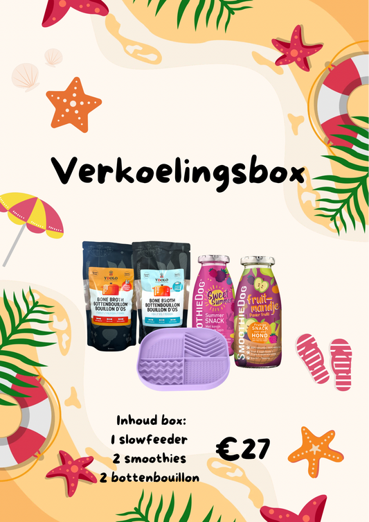 Verkoelingsbox voor jouw hond - slowfeeder 4 paws